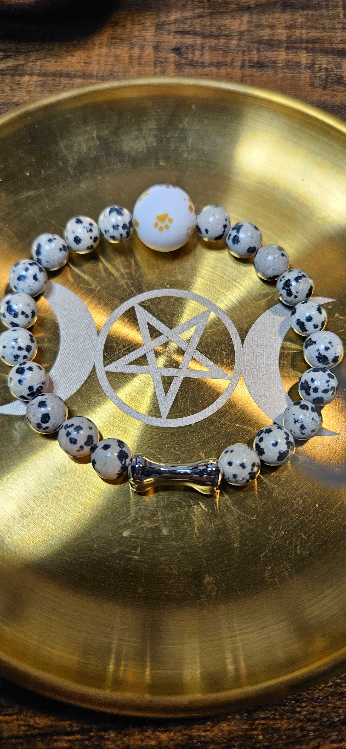 Lunar Paws Dalmation Jasper #1