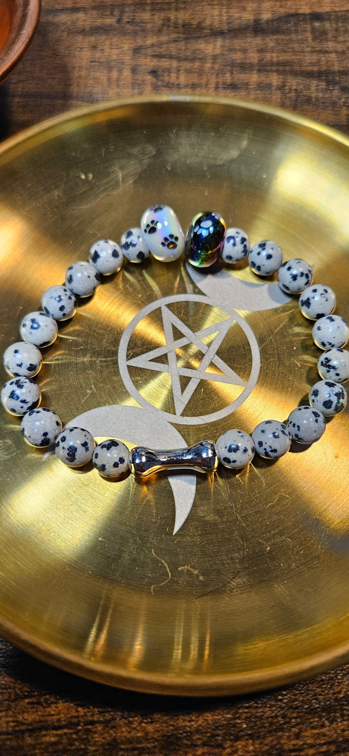 Lunar Paws Dalmation Jasper #3