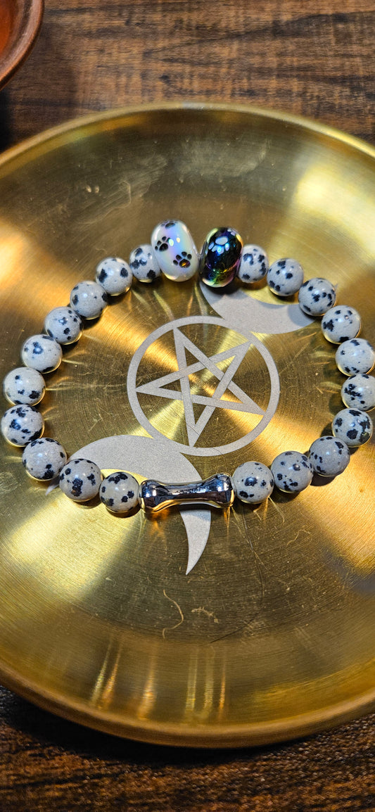 Lunar Paws Dalmation Jasper #3