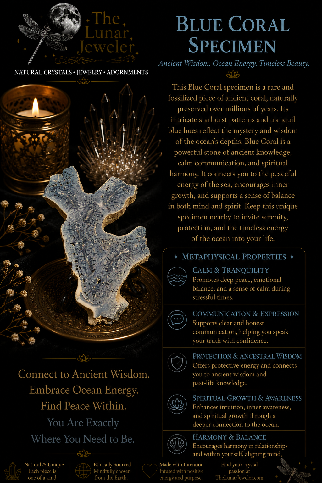 Blue Coral Specimen – Natural Ocean-Inspired Display Piece
