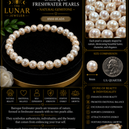 Freshwater Pearl Bracelet – 7.5