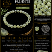 Prehnite Bracelet – 7.5