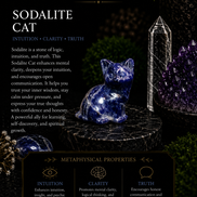 Hand-Carved Crystal Cats – Natural Gemstone Cat Carvings