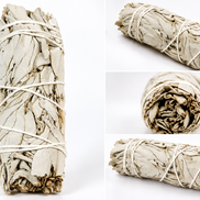 California White Sage – Natural Cleansing & Spiritual Purification