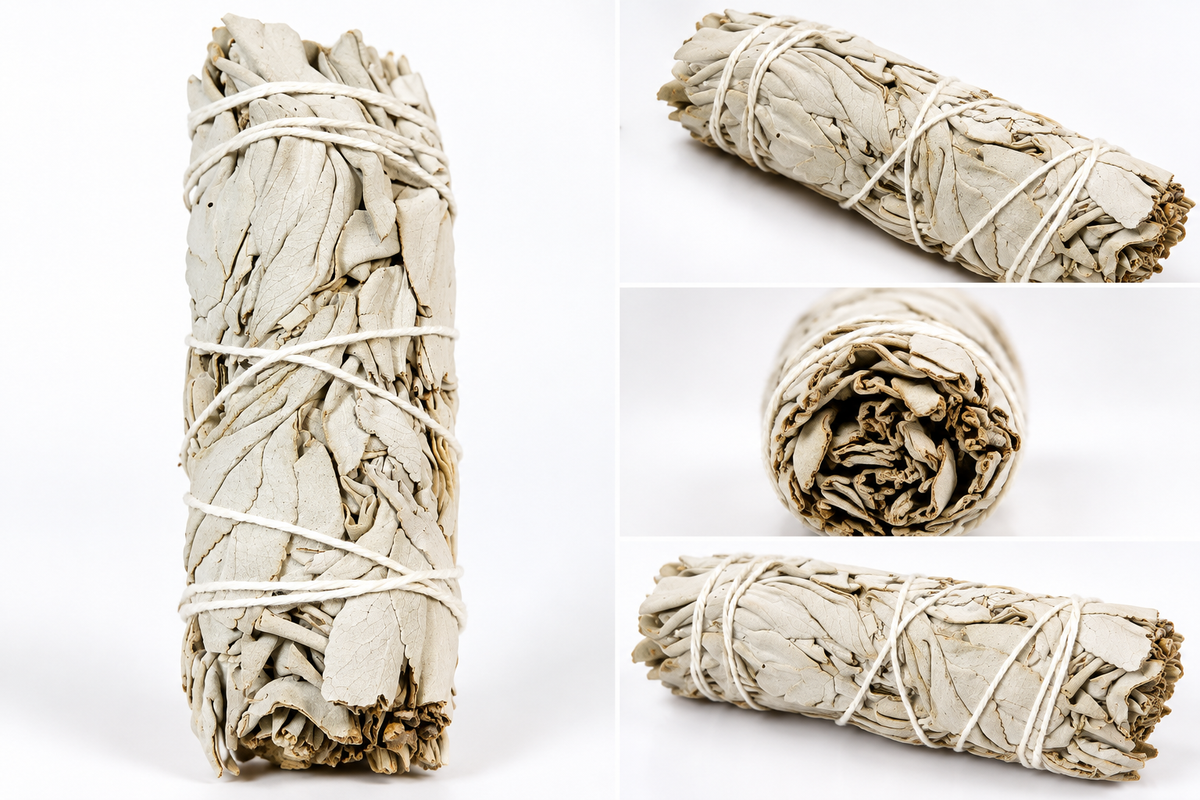 California White Sage – Natural Cleansing & Spiritual Purification