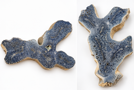 Blue Coral Specimen – Natural Ocean-Inspired Display Piece